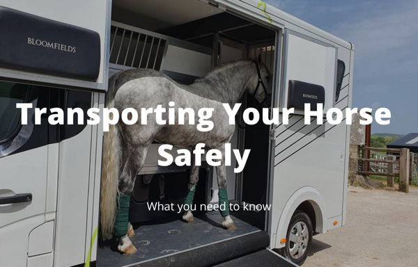 TRANSPORTING YOUR HORSE SAFELY